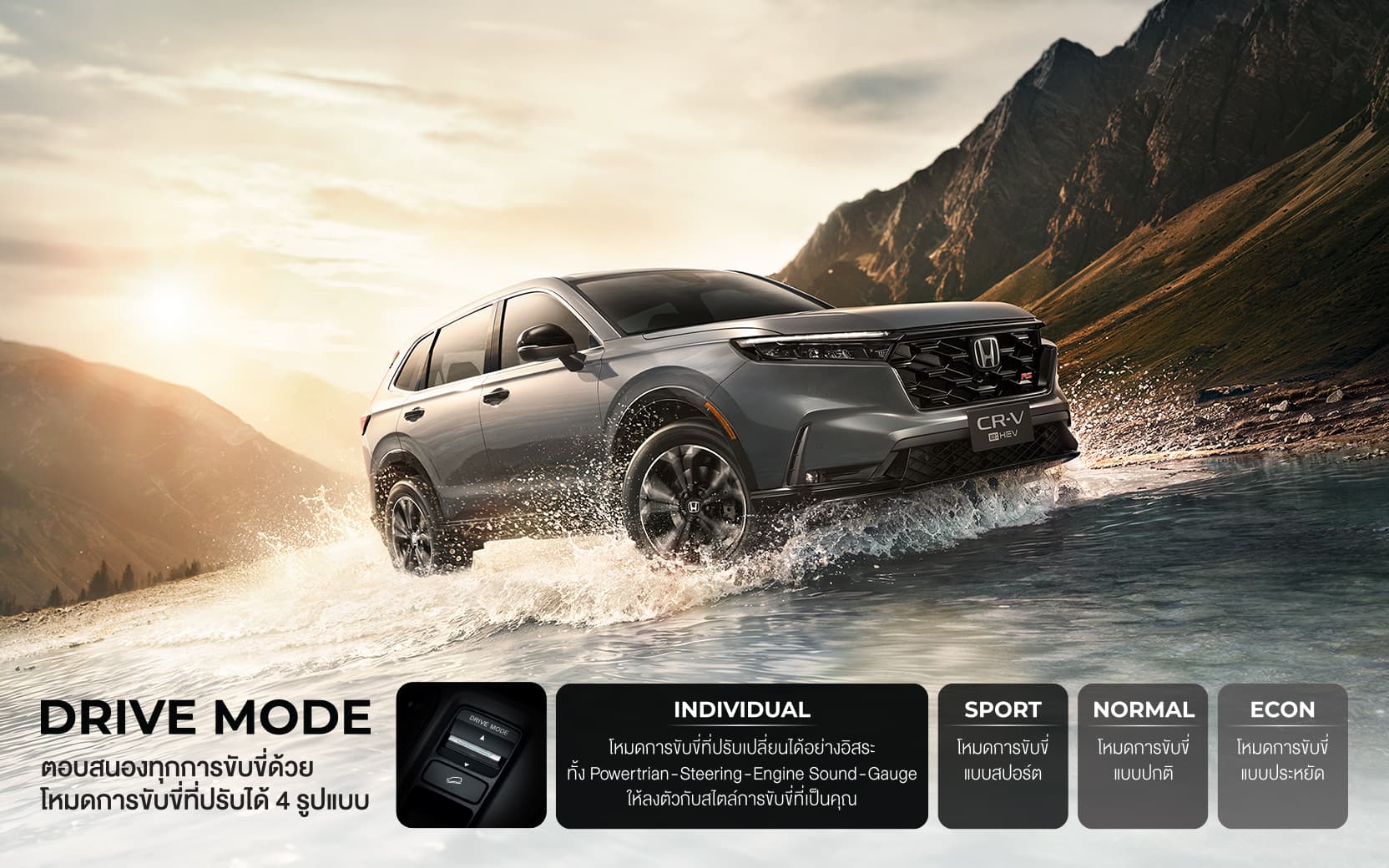 e888b71c-aafd-4ac5-9823-a2c8aee3cd49